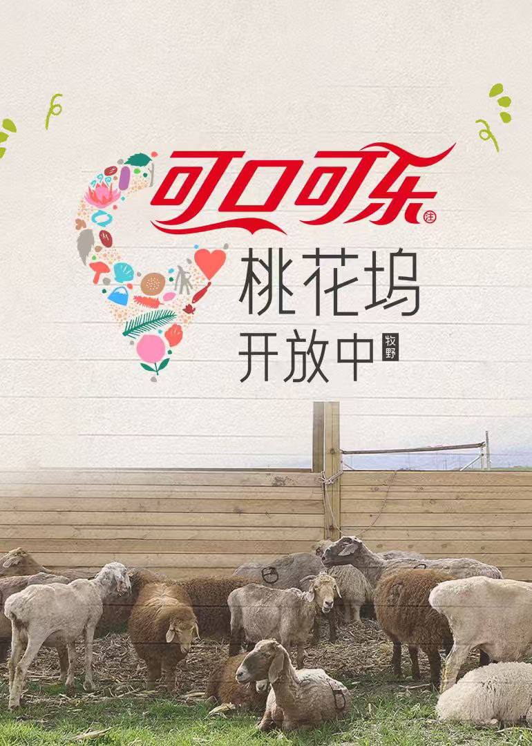 封面图片