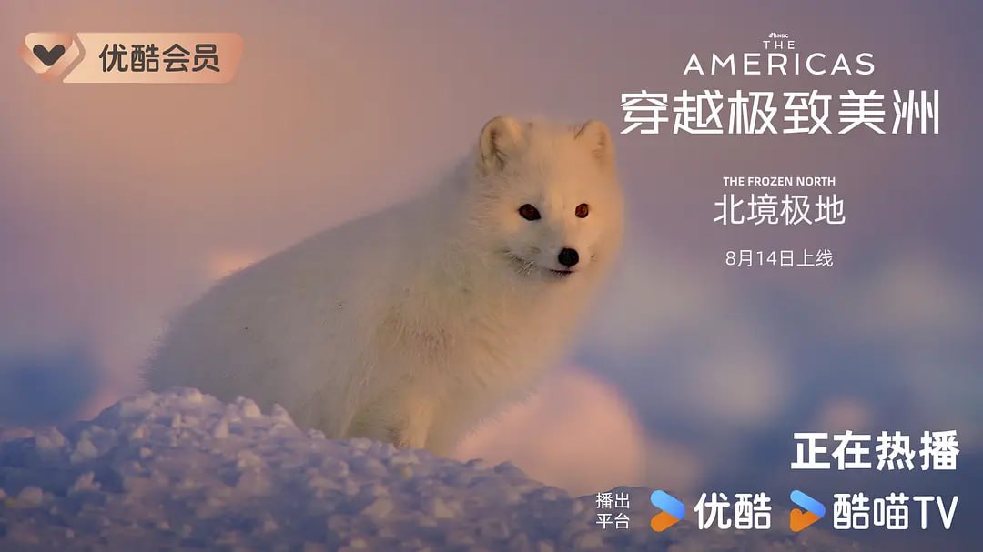 封面图片