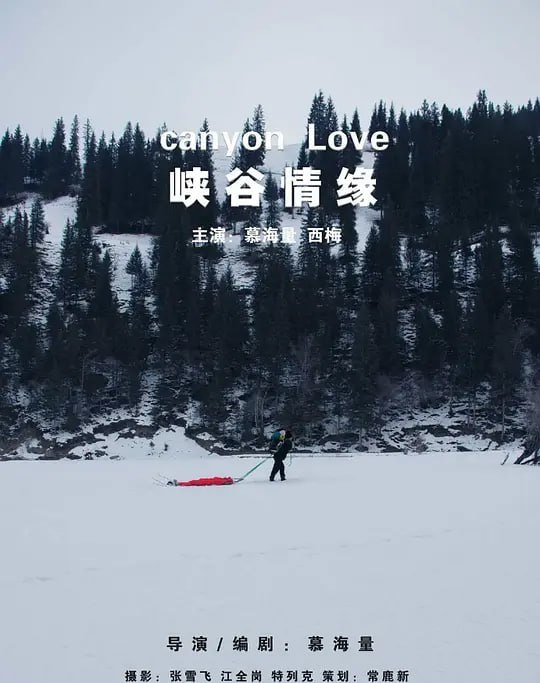 封面图片